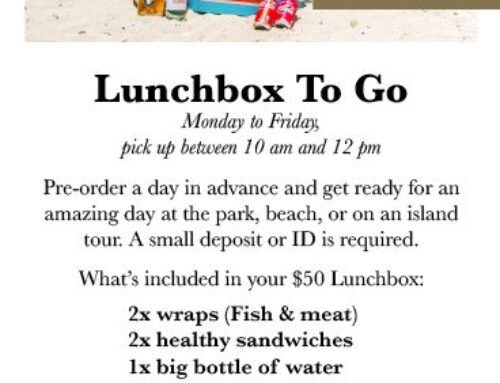 NEW…. Lunchbox at It Rains Fishes